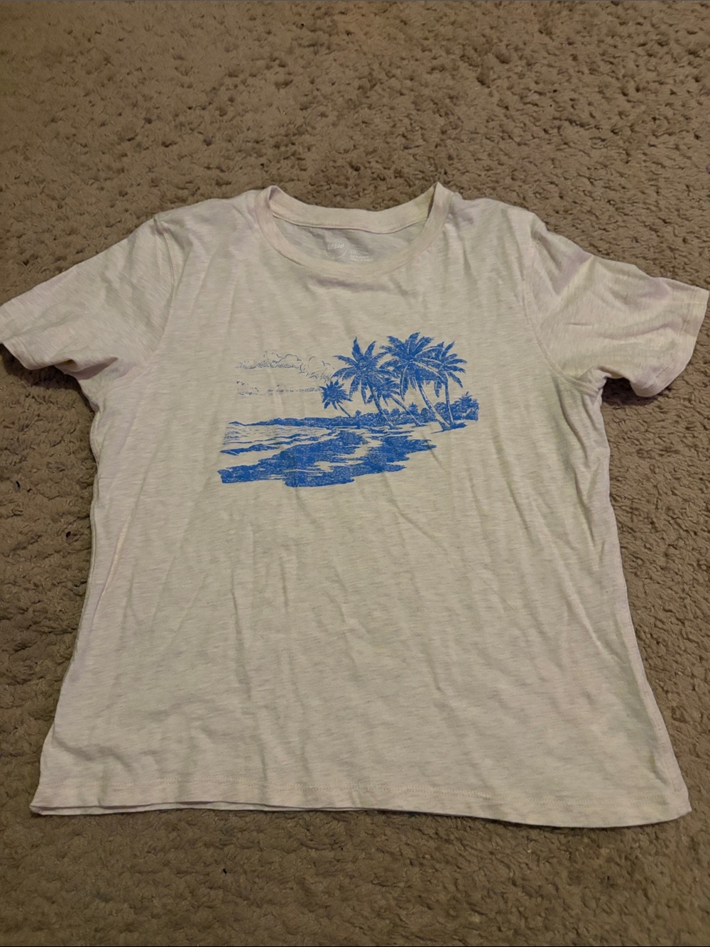aerie Vintage Tee with Blue Palm Graphic